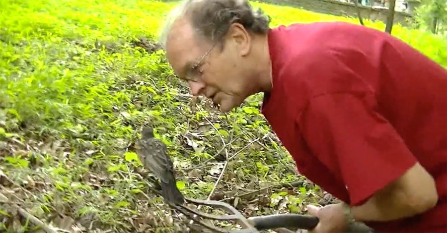 Estaba teniendo un día normal de jardinería cuando sucedió esto. Ahora mira al pájaro...