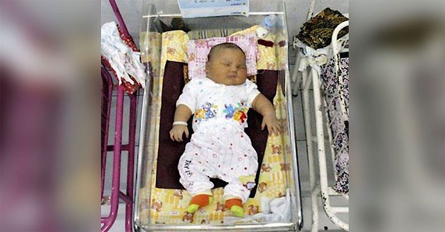 Madre da a luz a su tercer bebé 'grande'. Ahora mira cuando la cámara lo enfoca junto a los otros bebés 6 Madre da a luz a su tercer bebé 'grande'. Ahora mira cuando la cámara lo enfoca junto a los otros bebés