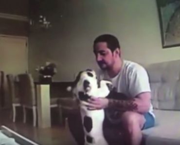Su perro actuaba de forma extraña cuando su novio estaba cerca, así que puso una cámara...