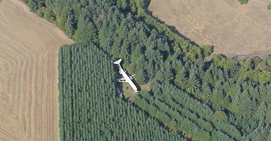 Ven un avión derribado entre el bosque. ¿Pero qué hay en el interior? Impresionante...