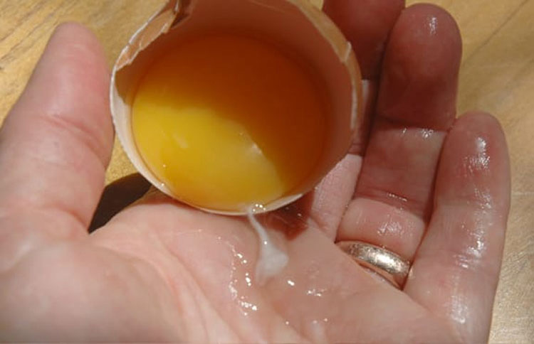 Esta cosa viscosa en las yemas de los huevos es más importante de lo que piensas