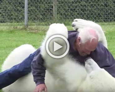 Este hombre hace algo con un oso polar que nadie más en todo el mundo puede hacer