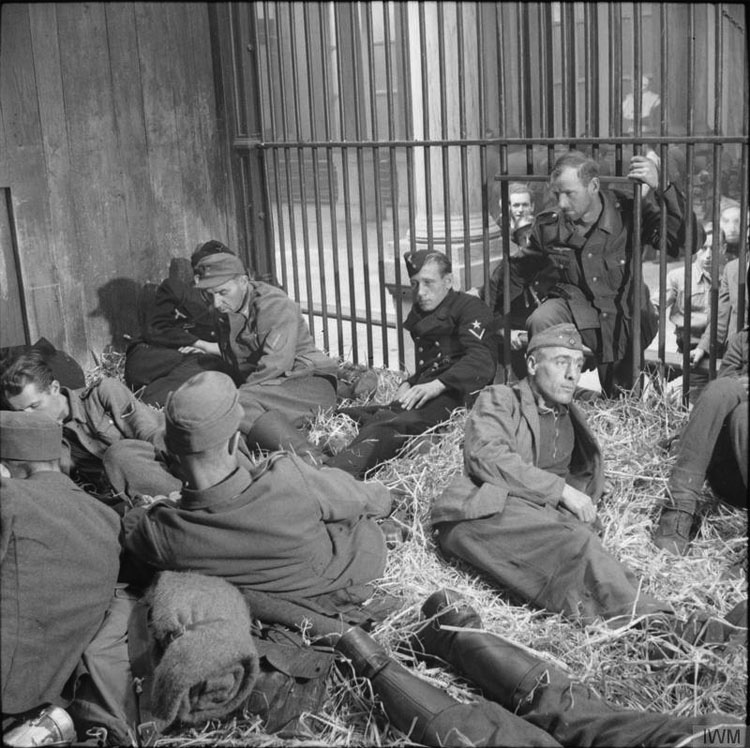 Cuando los nazis reclutaban trabajadores en Varsovia, estos cuidadores del zoológico hicieron lo impensable