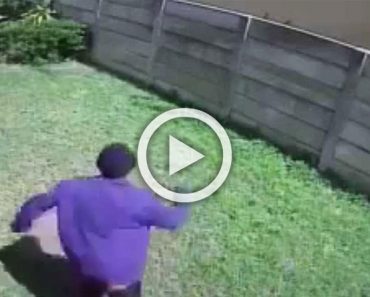 Una cámara oculta en un patio capturó a un ladrón huyendo. Ahora mira de que huía... ¡Hilarante!