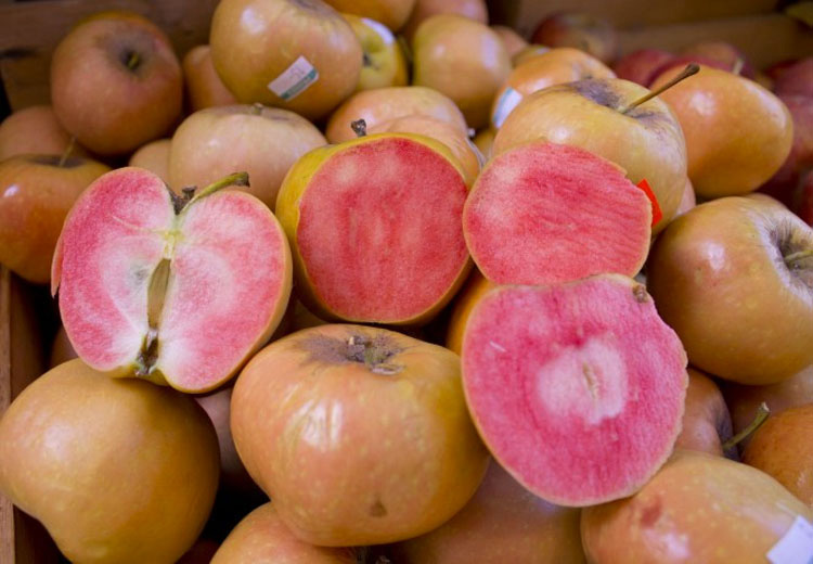 Dio un mordisco a una manzana, y se encontró con esto... ¿No te parece extraño?