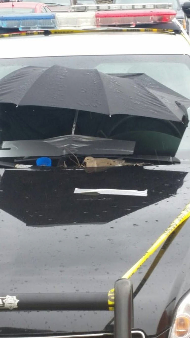 Agentes de policía ponen un paraguas morado en su vehículo por una SORPRENDENTE razón