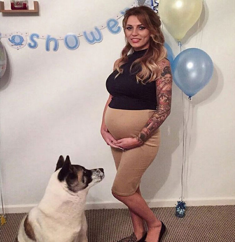 Este perro no deja el vientre de su dueña embarazada. Después se enteran de la razón...