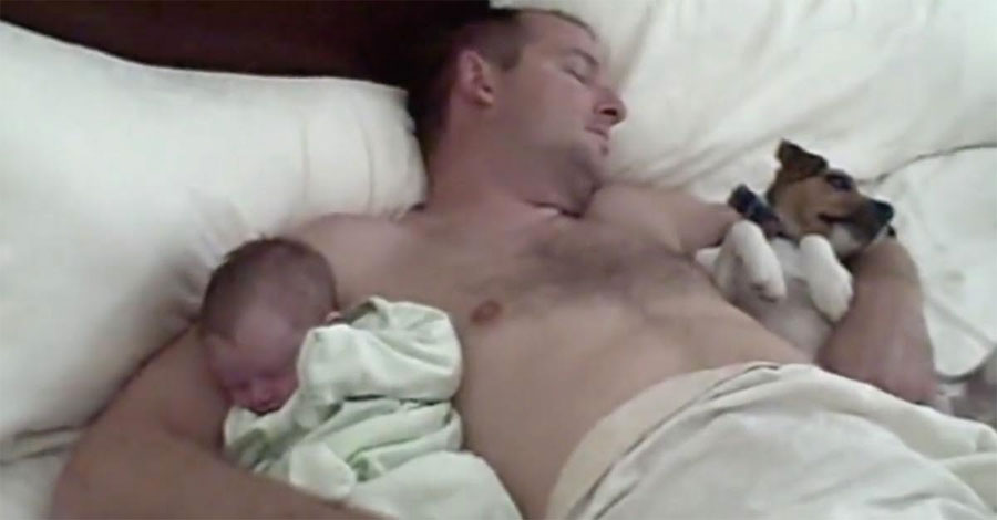 Mamá pone a sus dos bebés de siesta con su gran papá. Pero Cuidado con el pequeño de la derecha