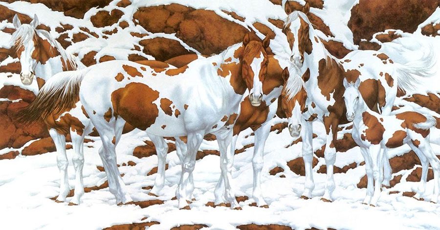 ¿Cuántos caballos puedes ver en esta preciosa escena de nieve? No es tan fácil...