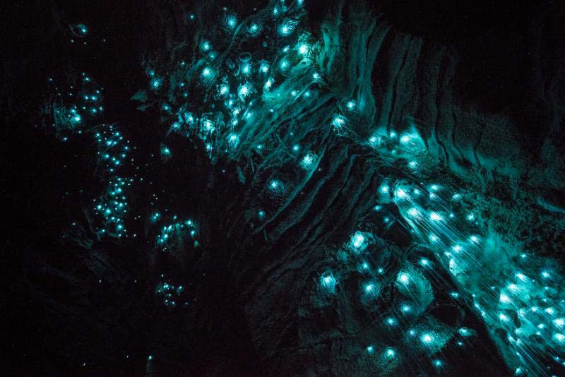 El interior de esta cueva se parece a una increíble noche estrellada. ¿Cuál es la razón?