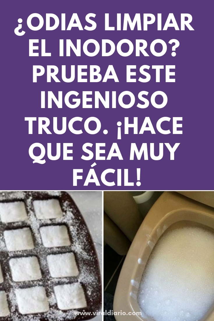 ¿Odias limpiar el inodoro? Prueba este ingenioso truco. ¡Hace que sea muy fácil!