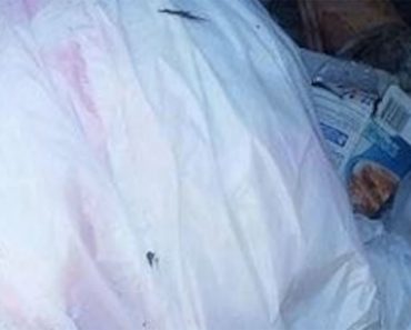 El hombre de la basura arroja basura en su camión. Luego ve ESTO en un rincón ... 7 El hombre de la basura arroja basura en su camión. Luego ve ESTO en un rincón ...
