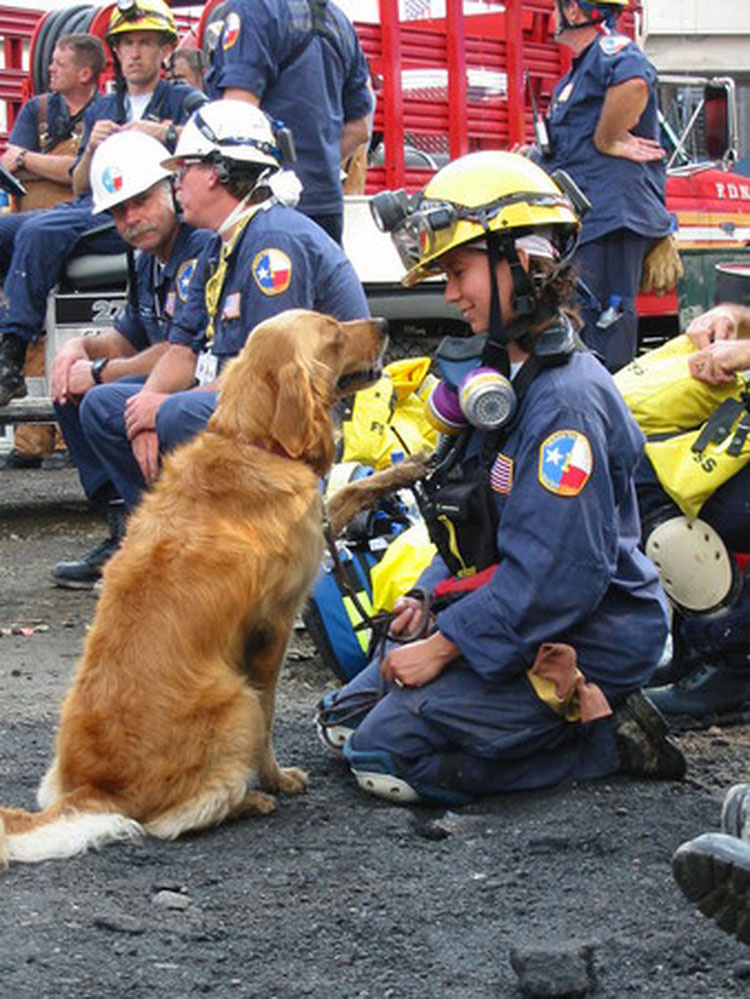 El último perro conocido del 9/11 ha fallecido. Aquí están todas las cosas que hizo