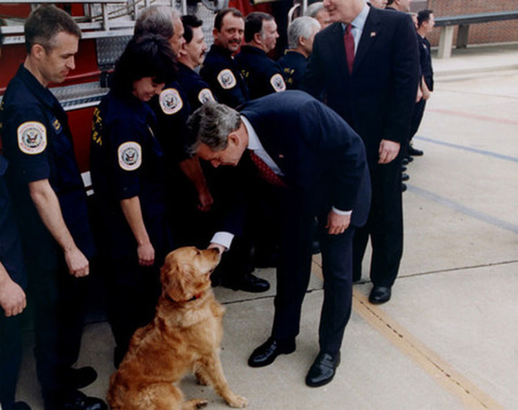 El último perro conocido del 9/11 ha fallecido. Aquí están todas las cosas que hizo