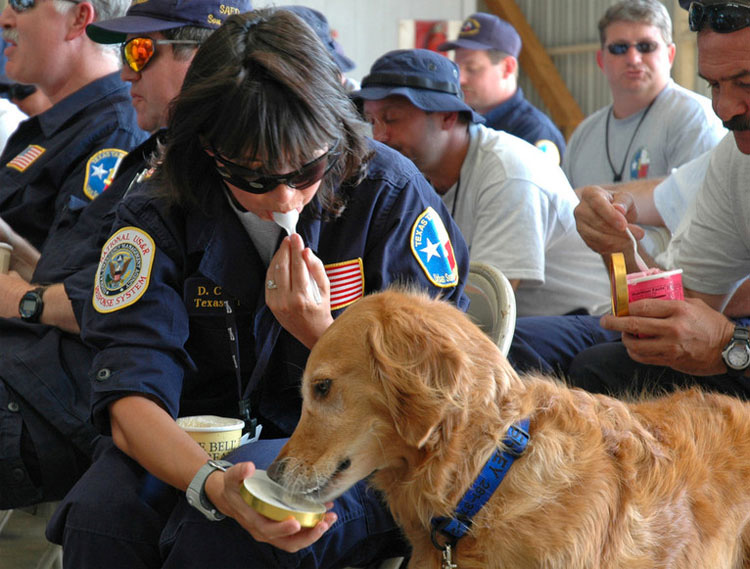 El último perro conocido del 9/11 ha fallecido. Aquí están todas las cosas que hizo