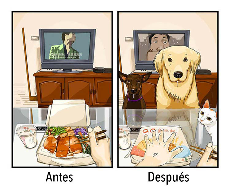 8 dibujos que nos dicen cómo es la vida antes y después de tener un perro