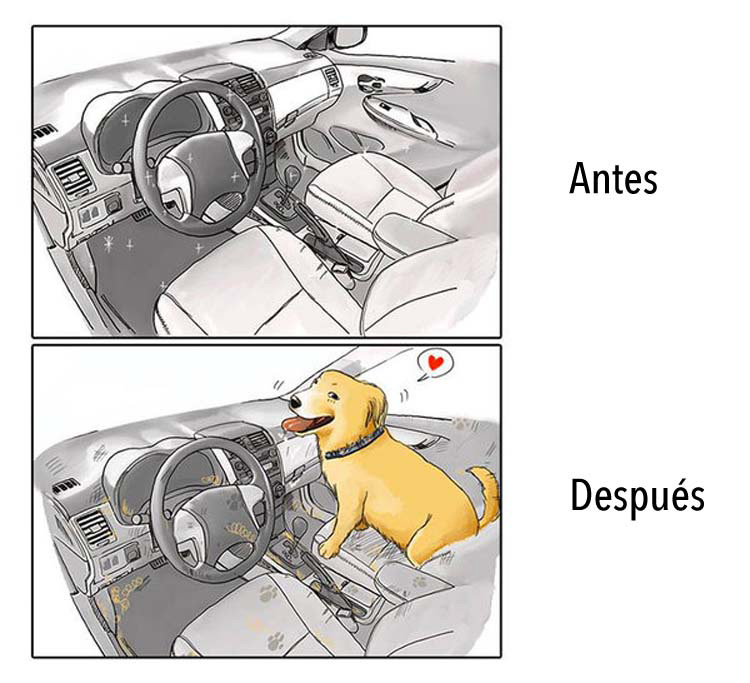 8 dibujos que nos dicen cómo es la vida antes y después de tener un perro