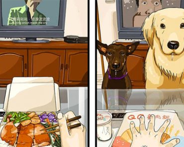 8 dibujos que nos dicen cómo es la vida antes y después de tener un perro