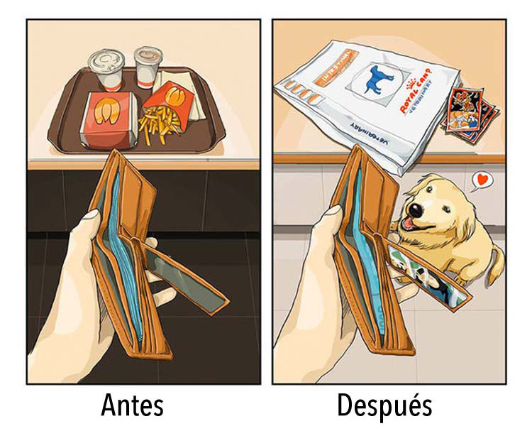 8 dibujos que nos dicen cómo es la vida antes y después de tener un perro