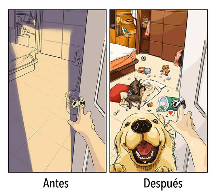 8 dibujos que nos dicen cómo es la vida antes y después de tener un perro