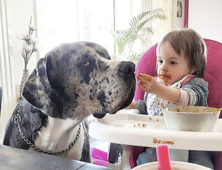 Niña posa para una foto, pero lo que tiene a su izquierda parece IRREAL...