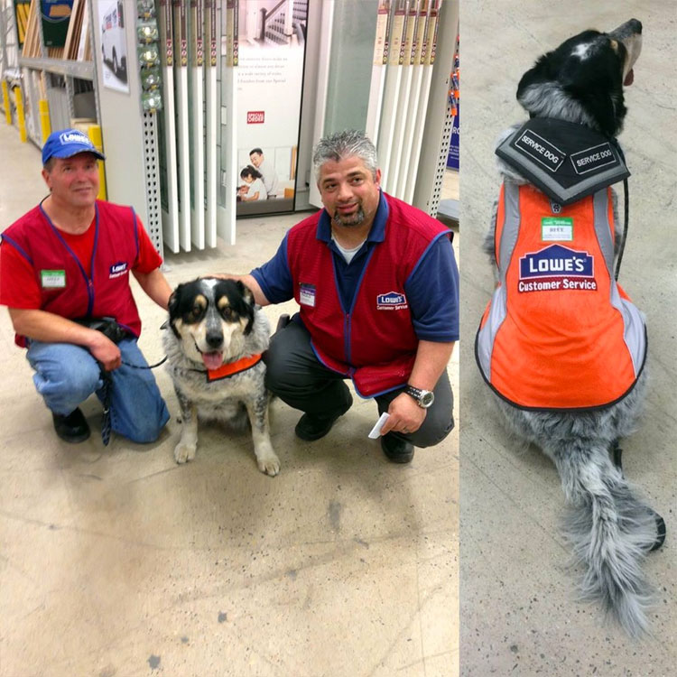 Este hombre no podía encontrar trabajo a causa de su perro de servicio, hasta que sucedió esto...