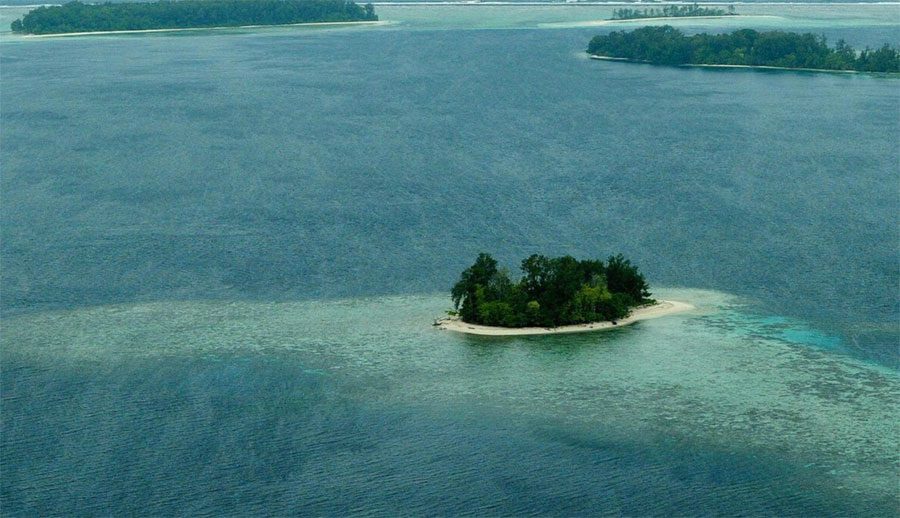 Este es el primer mamífero que se ha extinguido debido al cambio climático 3 Este es el primer mamífero que se ha extinguido debido al cambio climático