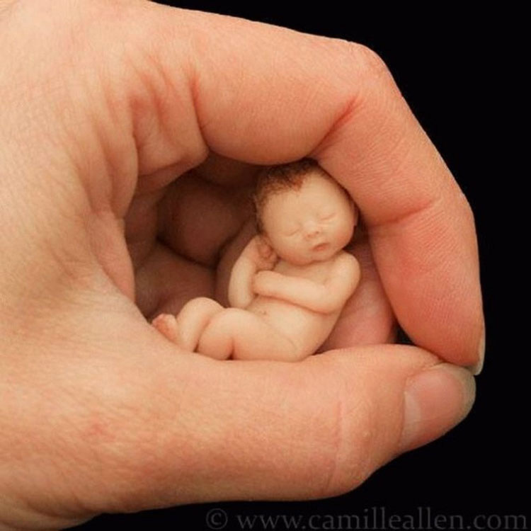 Este bebé es tan pequeño que cabe en la palma de su mano. Pero al mirarlo de cerca... ¡Sin palabras!