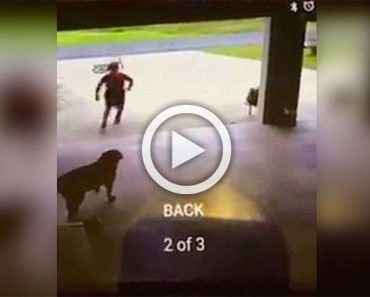 Este niño es atrapado con la cámara en el garaje de un extraño haciendo esto a su perro... 1 Este niño es atrapado con la cámara en el garaje de un extraño haciendo esto a su perro...