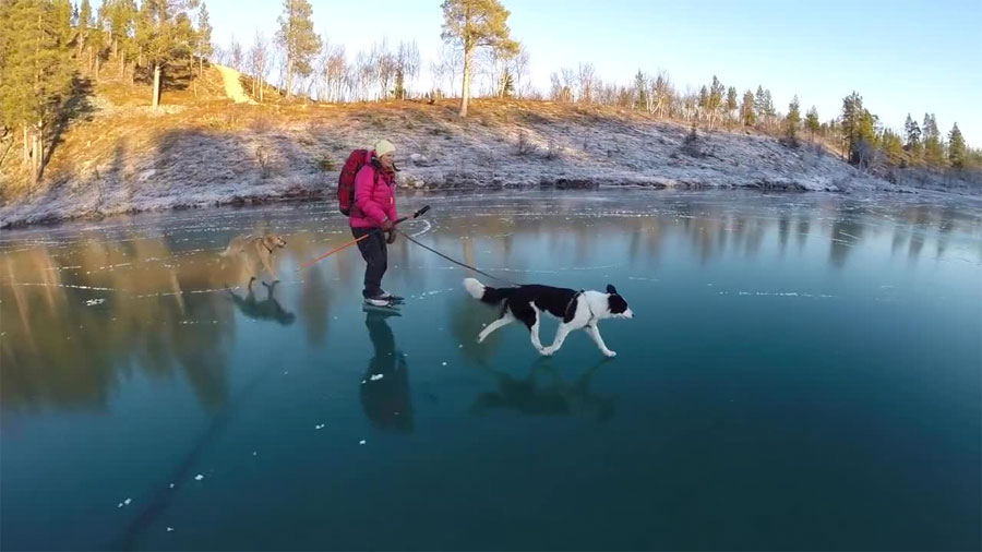 Se va con su perro hasta un lago helado, hasta que mira hacia abajo y no cree lo que ve...