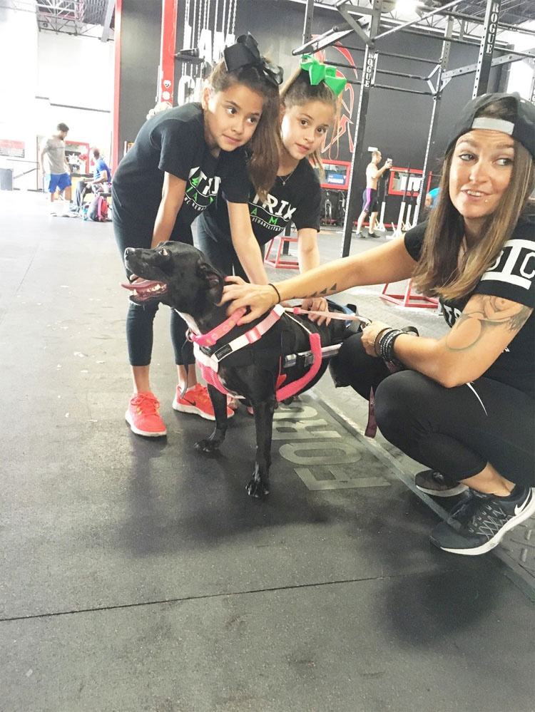 Este perrita que perdió sus patas ayuda a personas que son como ella