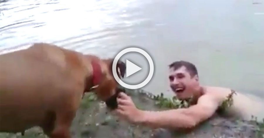 Este perro no deja la mano de su dueño. Cuando muestra la razón es... ¡INCREÍBLE!