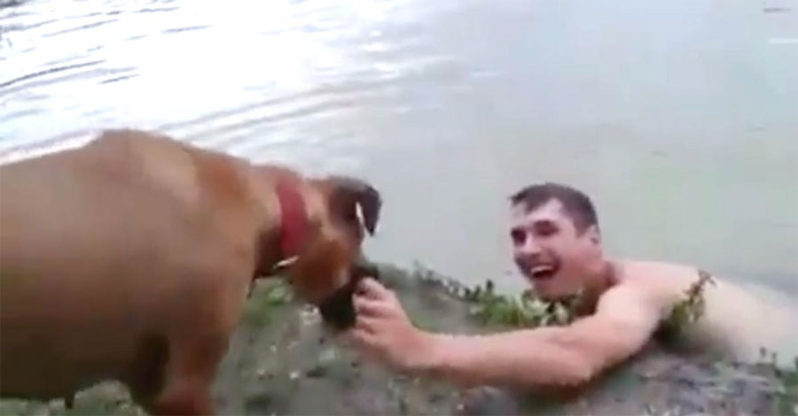 Este perro no deja la mano de su dueño. Cuando muestra la razón es... ¡INCREÍBLE! 1