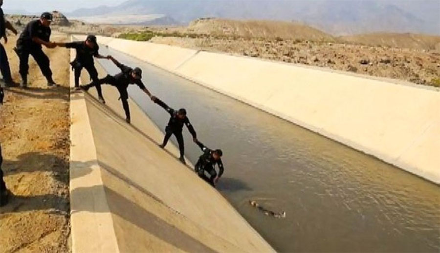 Policías formaron una cadena humana para salvar a un perro atrapado en un canal