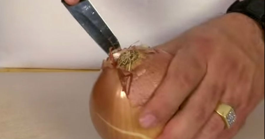 Con este sencillo truco, tus ojos nunca llorarán más al cortar cebollas... ¡GENIAL! 1