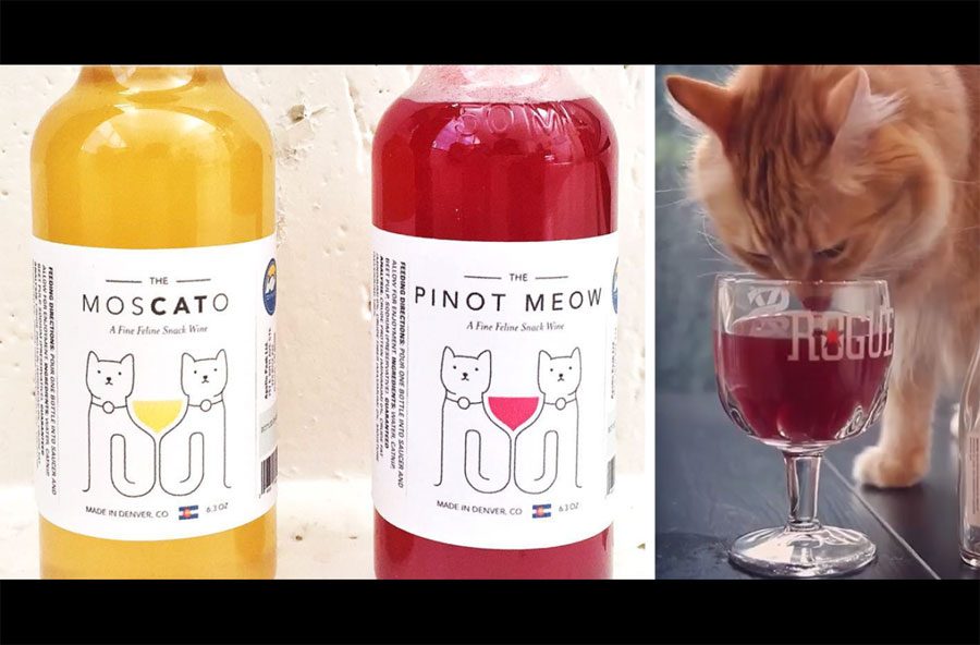 Convierte a tu gato en un compañero de copas gracias a los nuevos vinos para gatos