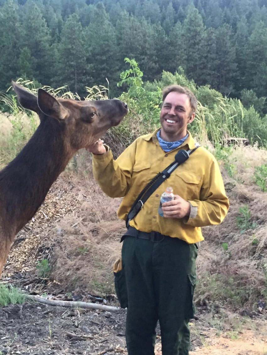 Esta alce se aproxima a un bombero por detrás. ¿Qué es lo quiere? ¡Demasiado adorable!