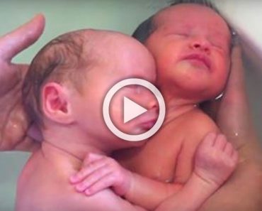 Estos gemelos recién nacidos creen que están todavía en el útero ... ¡Mira el de la izquierda!