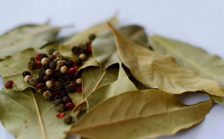 Quema una hoja de laurel en casa y mira lo que sucede en sólo 10 minutos