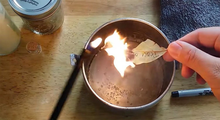 Quema una hoja de laurel en casa y mira lo que sucede en sólo 10 minutos