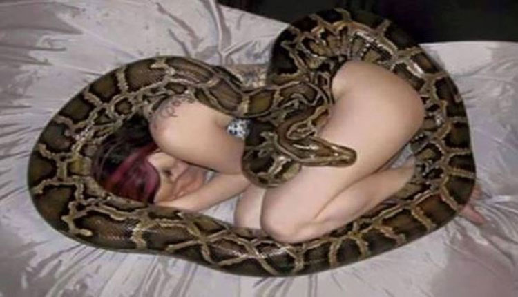 Dormía todas las noches con una serpiente. Hasta que la veterinario le dijo la verdad