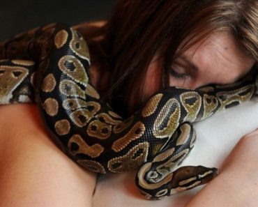 Dormía todas las noches con una serpiente. Hasta que la veterinario le dijo la verdad 1