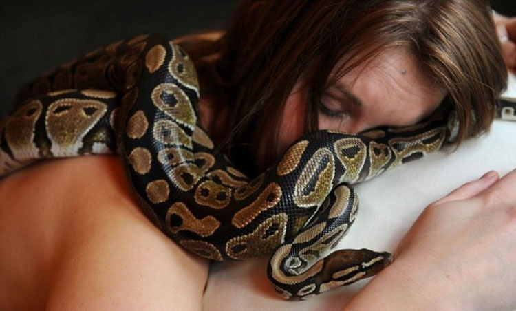 Dormía todas las noches con una serpiente. Hasta que la veterinario le dijo la verdad