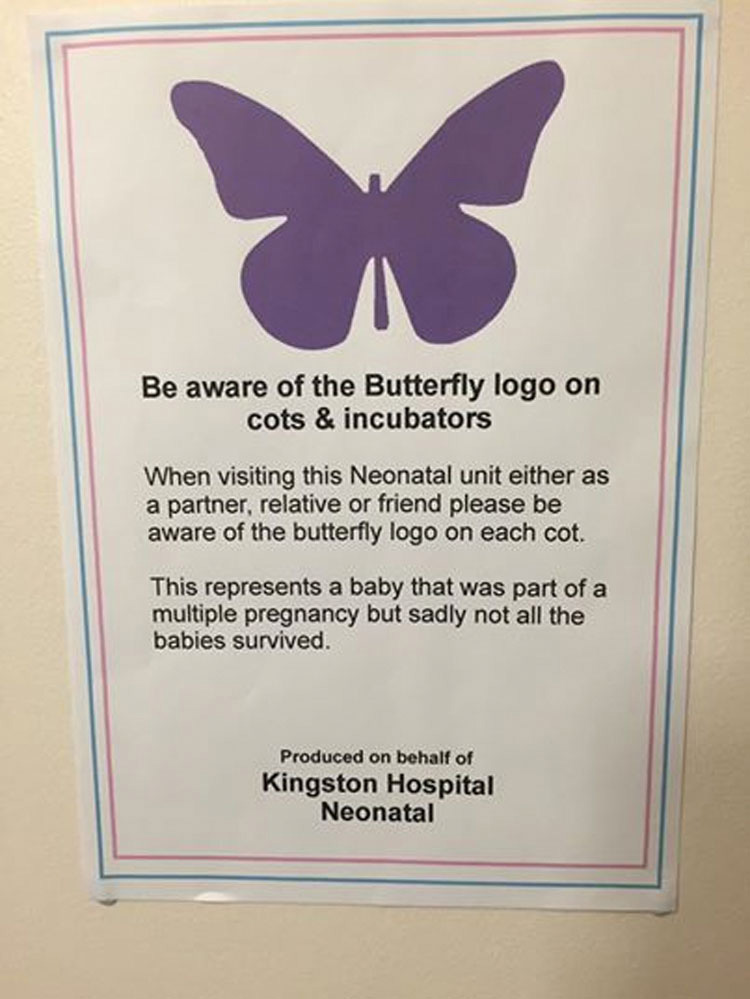 ¿Has visto estas mariposas púrpuras para bebés recién nacidos? Esto significan...