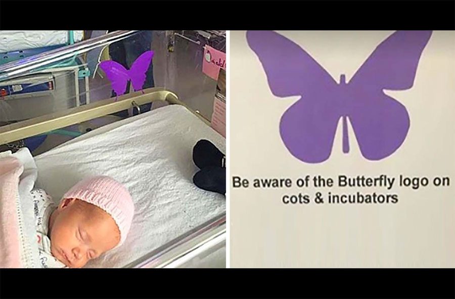 ¿Has visto estas mariposas púrpuras para bebés recién nacidos? Esto significan...