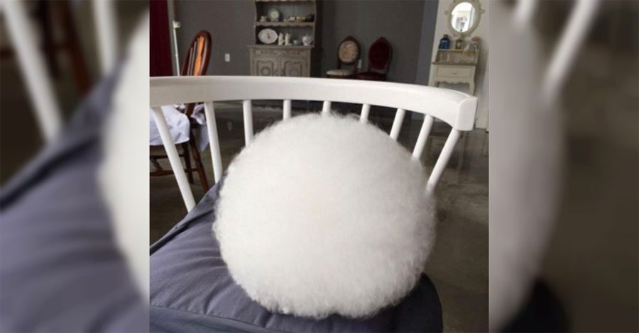 Parece una enorme y mullida bola de algodón - Pero mira cuando se empieza a mover ...