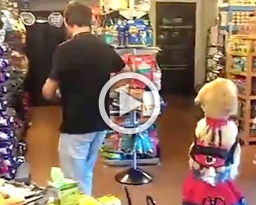 Pregunta a su perrete si quiere bailar. ¡Cuando se da la vuelta no puedes parar de reír!