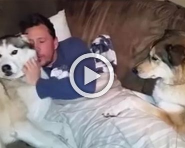 El dueño está acariciando al perro de la izquierda, ahora atención al perro celoso de la derecha...