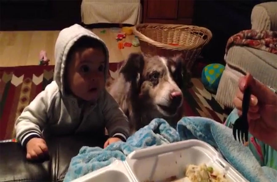Esta madre trata de que su bebé diga "mamá", pero la reacción del perro hizo la escena VIRAL...