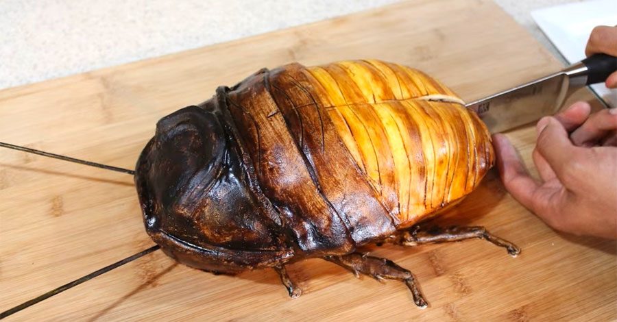 Corta en rebanadas una cucaracha gigante. Ahora mira su interior... ¡INCREÍBLE! 1